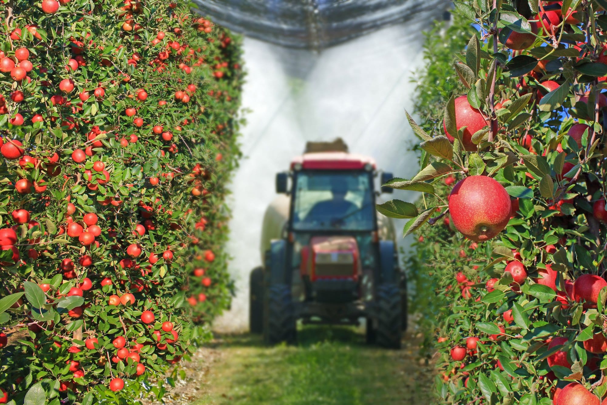 Orchard Robotics Tractor Spraying