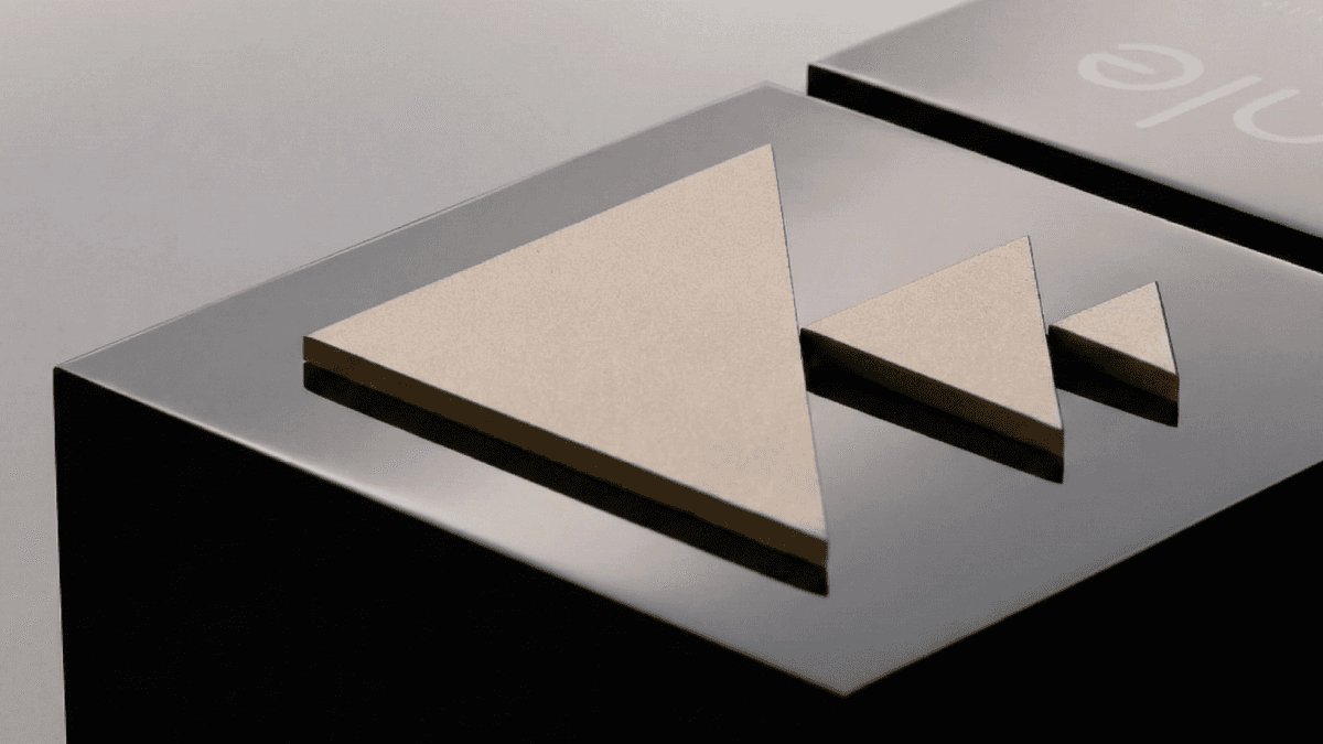 Introducing the 2025 SEAL Models of the Year Awards